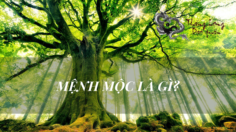 menh-moc-la-gi