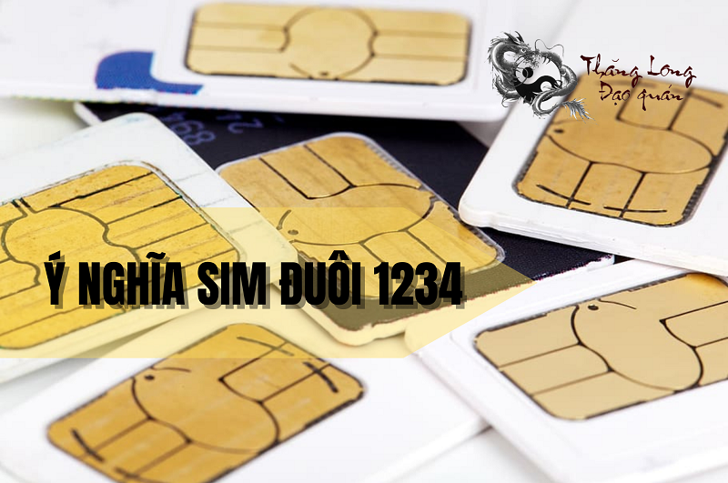 y-nghia-sim-duoi-1234