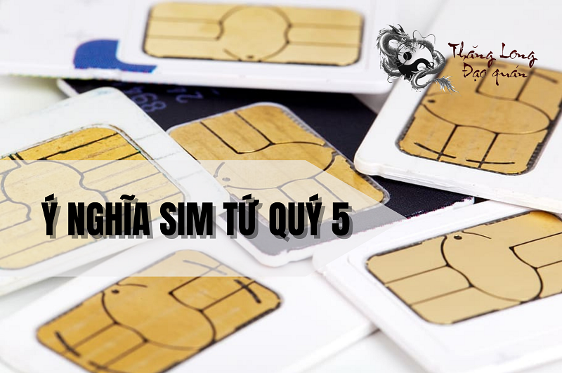 y-nghia-sim-tu-quy-5