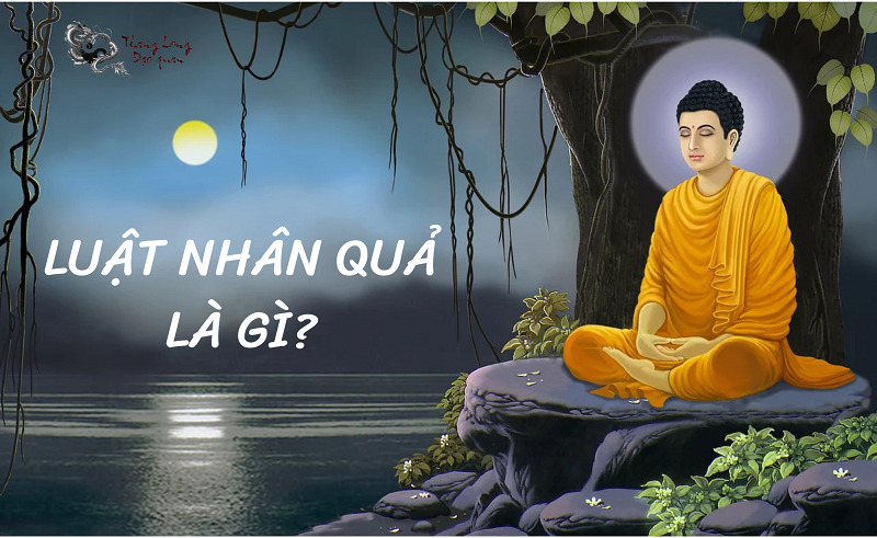 luat-nhan-qua-la-gi