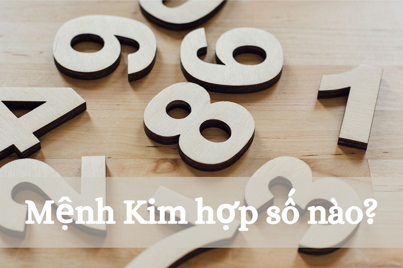 menh-kim-hop-so-nao