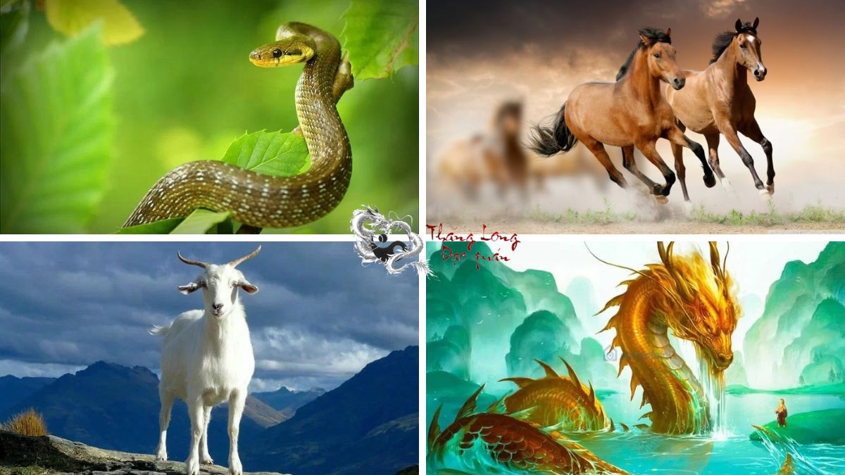 con giáp dễ gặp may mắn