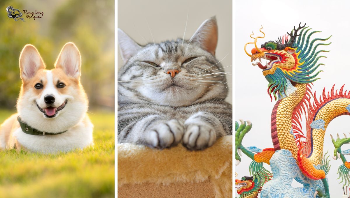 Những con giáp nào sẽ được Phật Tổ che chở, gặp nhiều may mắn