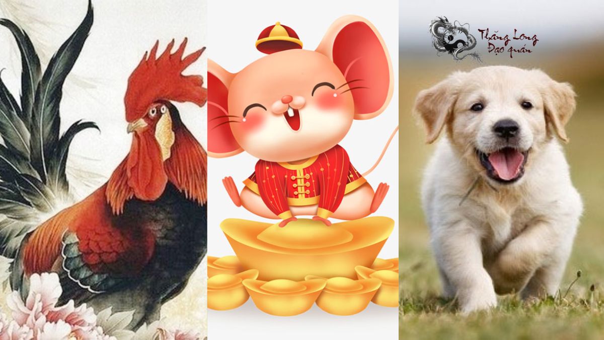 Con giáp may mắn trong năm