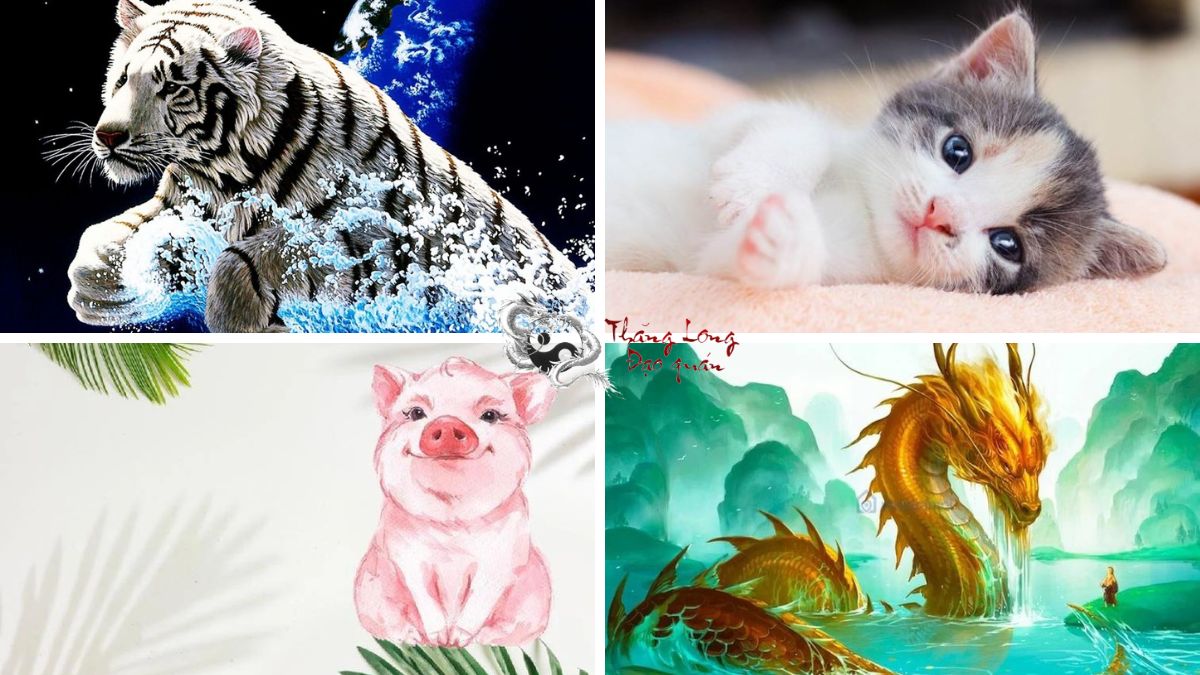 con giáp tiêu phung phí