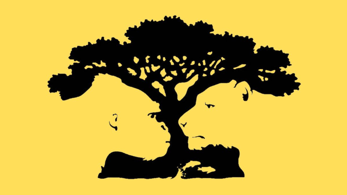 Hình ảnh này tiết lộ điều gì về tính cách của bạn