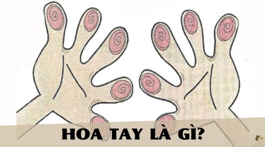 Giải mã hoa tay là gì