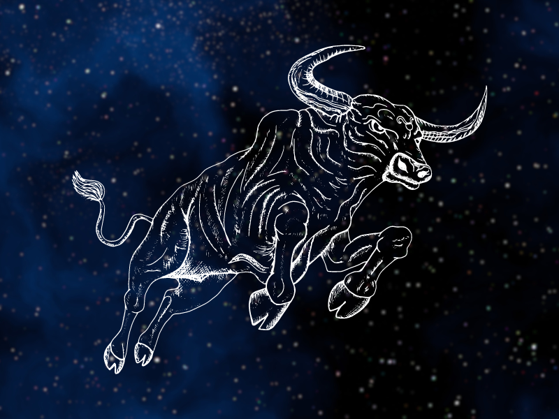 kim ngưu là cung gì