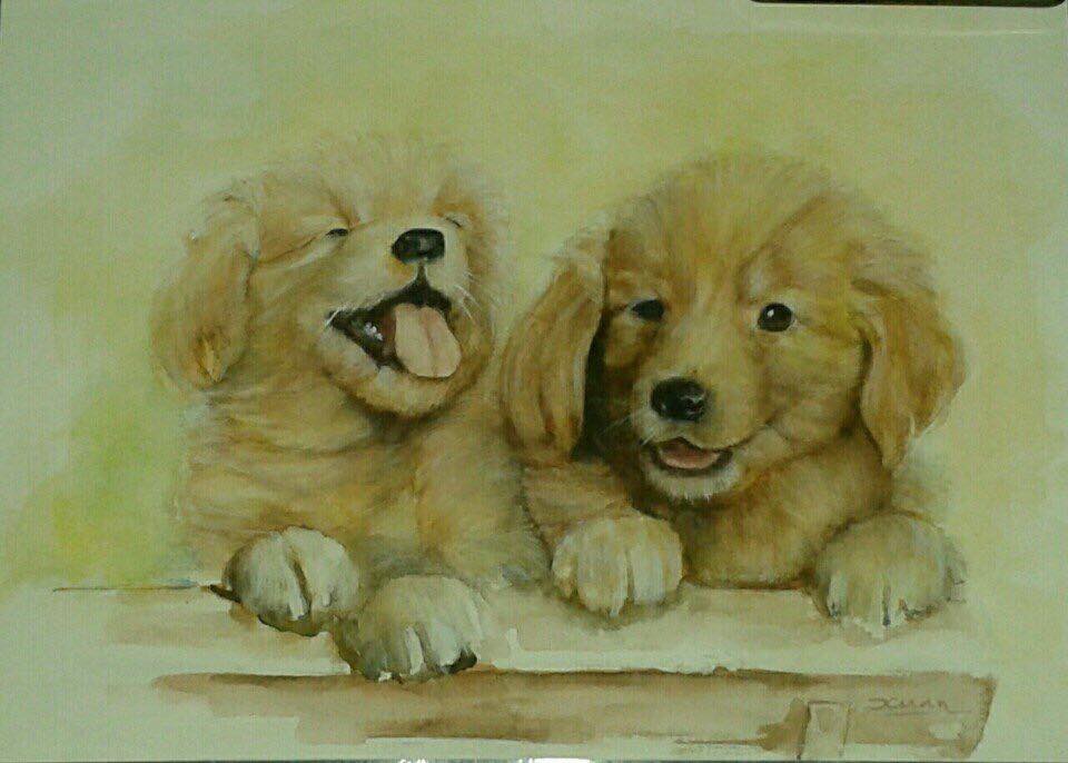 giờ tuất là mấy giờ