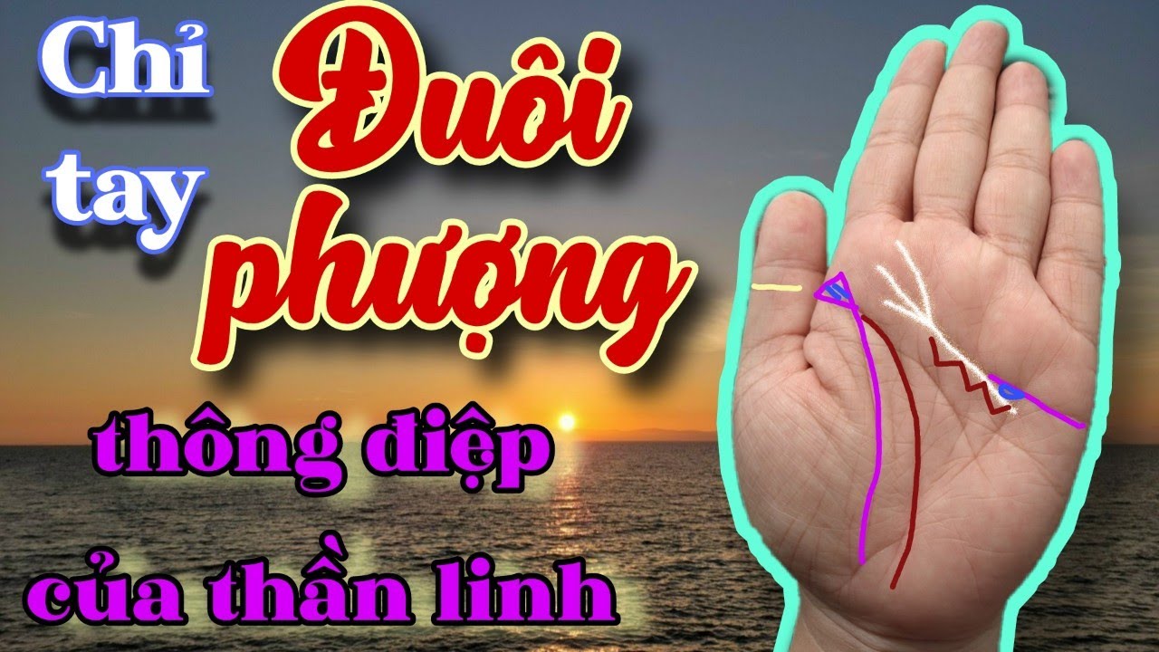 chỉ tay đuôi phượng