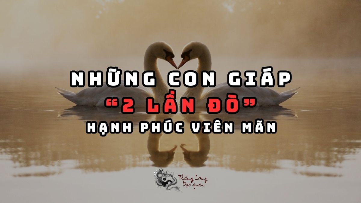 Những Con Giáp gặp được tình yêu thật sự lần hai