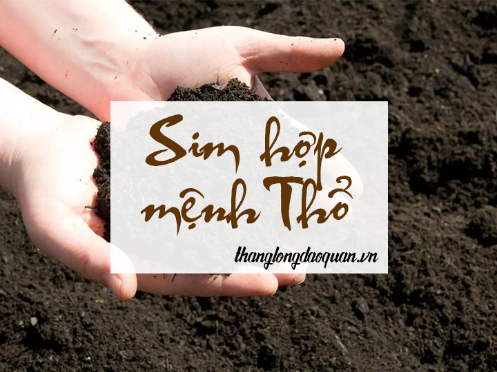 Sim hợp mệnh Thổ