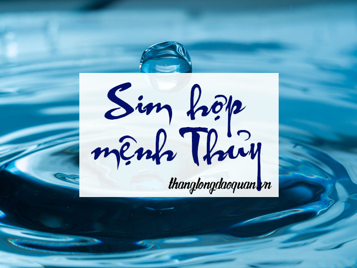 Sim hợp mệnh Thủy