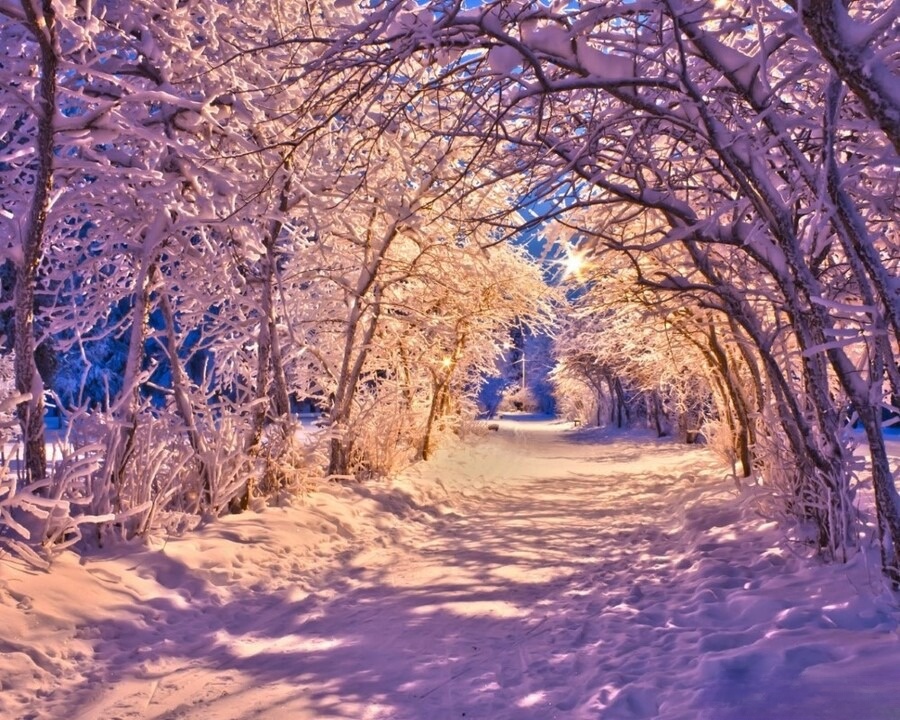 tiết tiểu hàn là gì