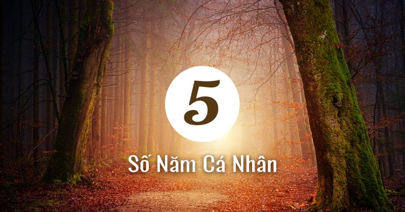 năm cá nhân số 5 năm 2023