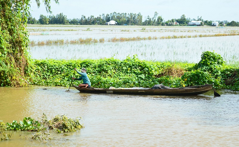 tiết tiểu mãn là gì