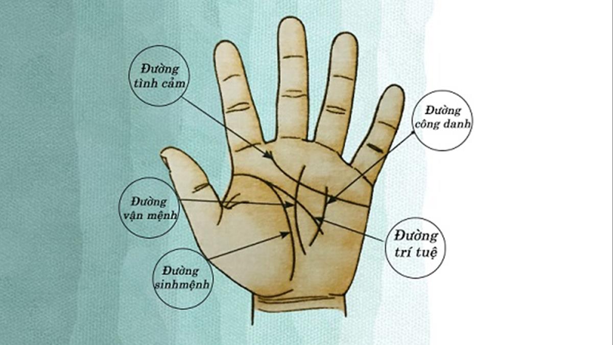 tìm hiểu các đường chỉ tay đặc biệt