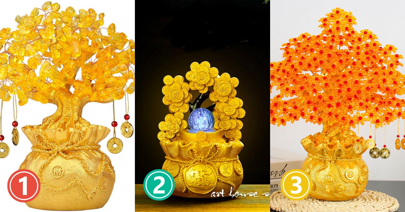 Chọn cây phát tài sẽ tiết lộ con người bạn