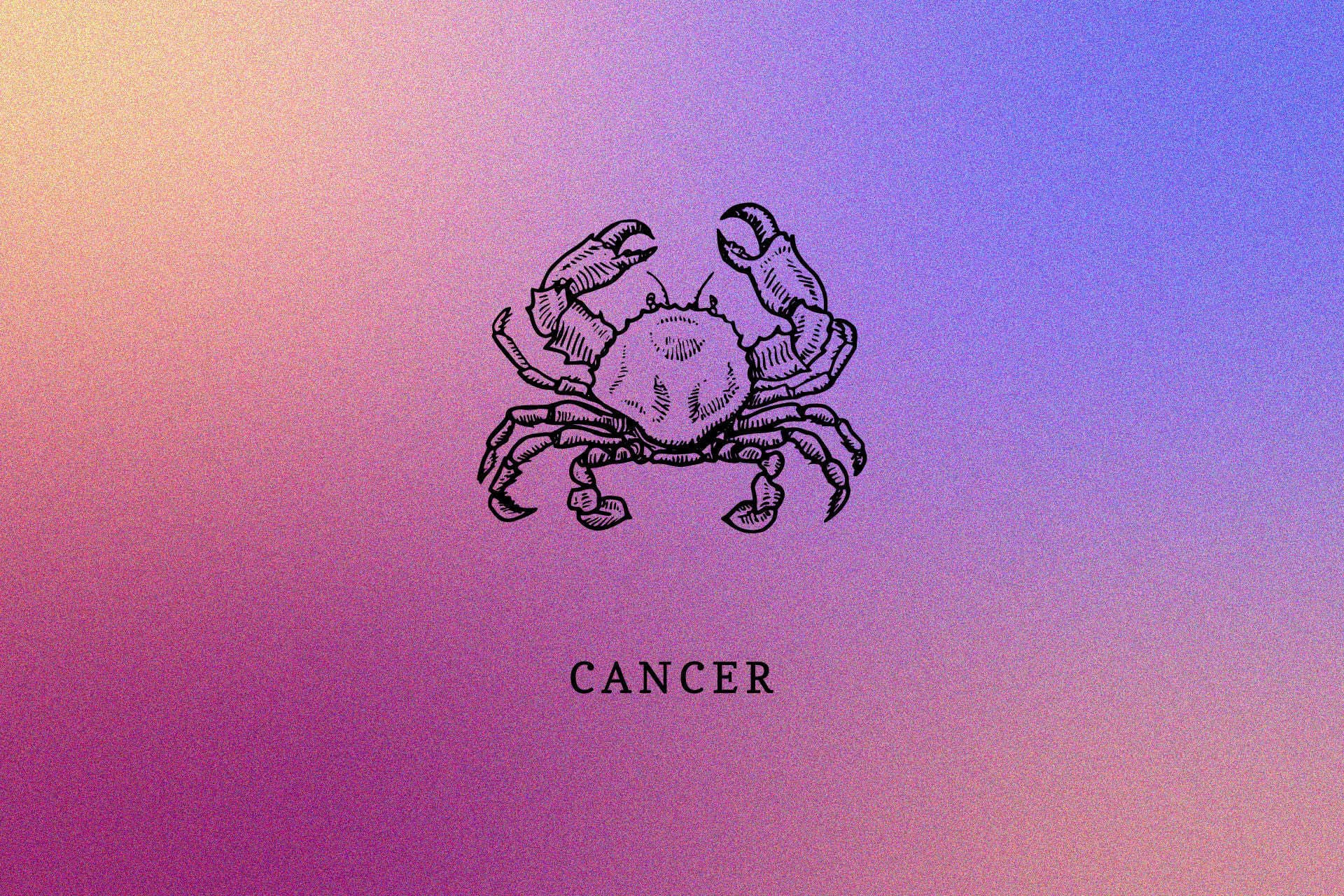 Tử vi cung cự giải 24/08