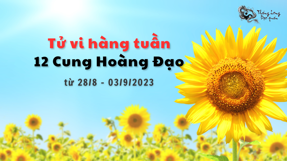 Tử vi tuần mới của 12 cung hoàng đạo (28/8 - 03/9/2023)