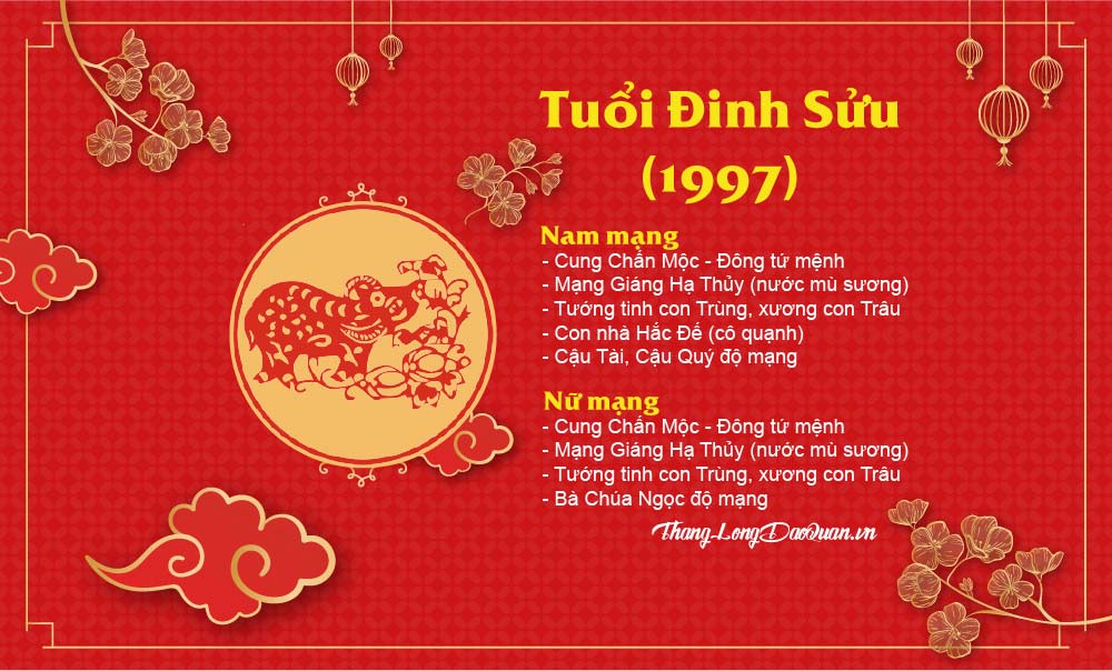 tu-vi-tuoi-dinh-suu-nam-2023