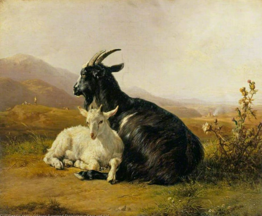 giờ Mùi là mấy giờ