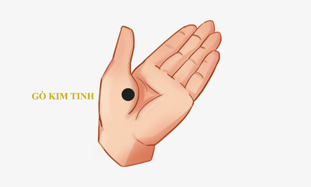 gò kim tinh