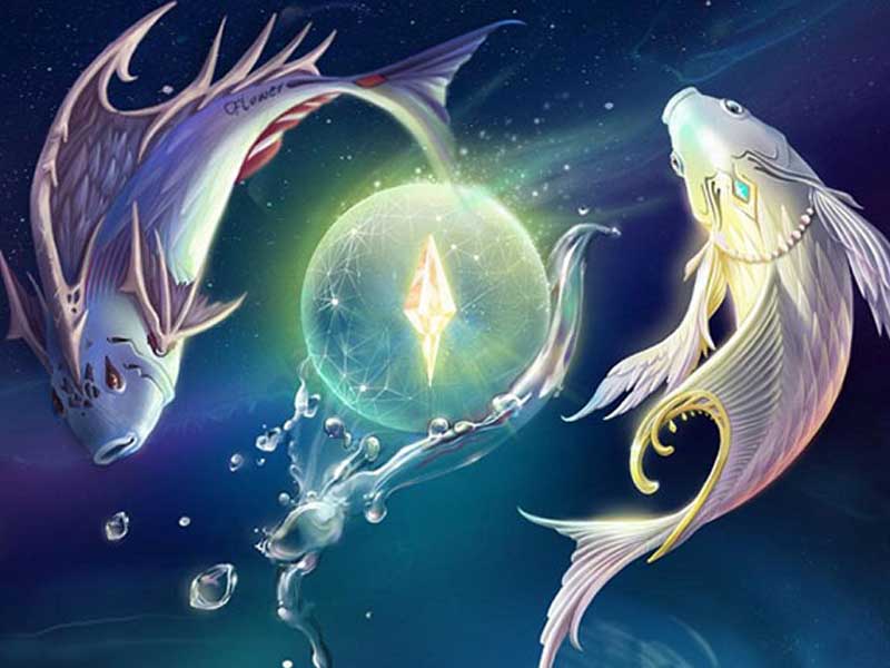 cung Song Ngư hợp với cung nào